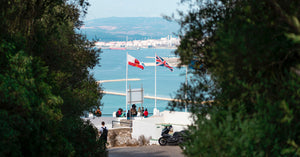 435 Family Offices in France, United Kingdom and Spain + 176 Family Offices in Key Wealth Management Jurisdiction