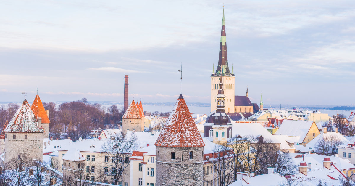 24 Family Offices in Estonia 🇪🇪