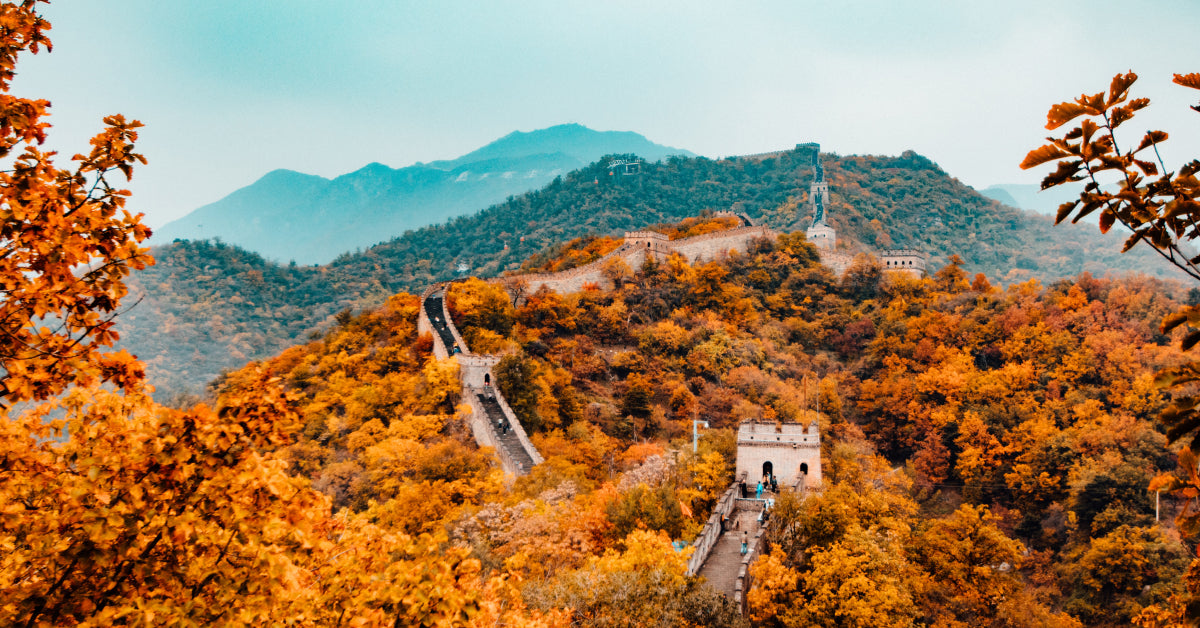 58 Family Offices in China 🇨🇳