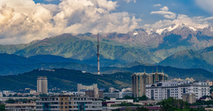 6 Family Offices in Kazakhstan